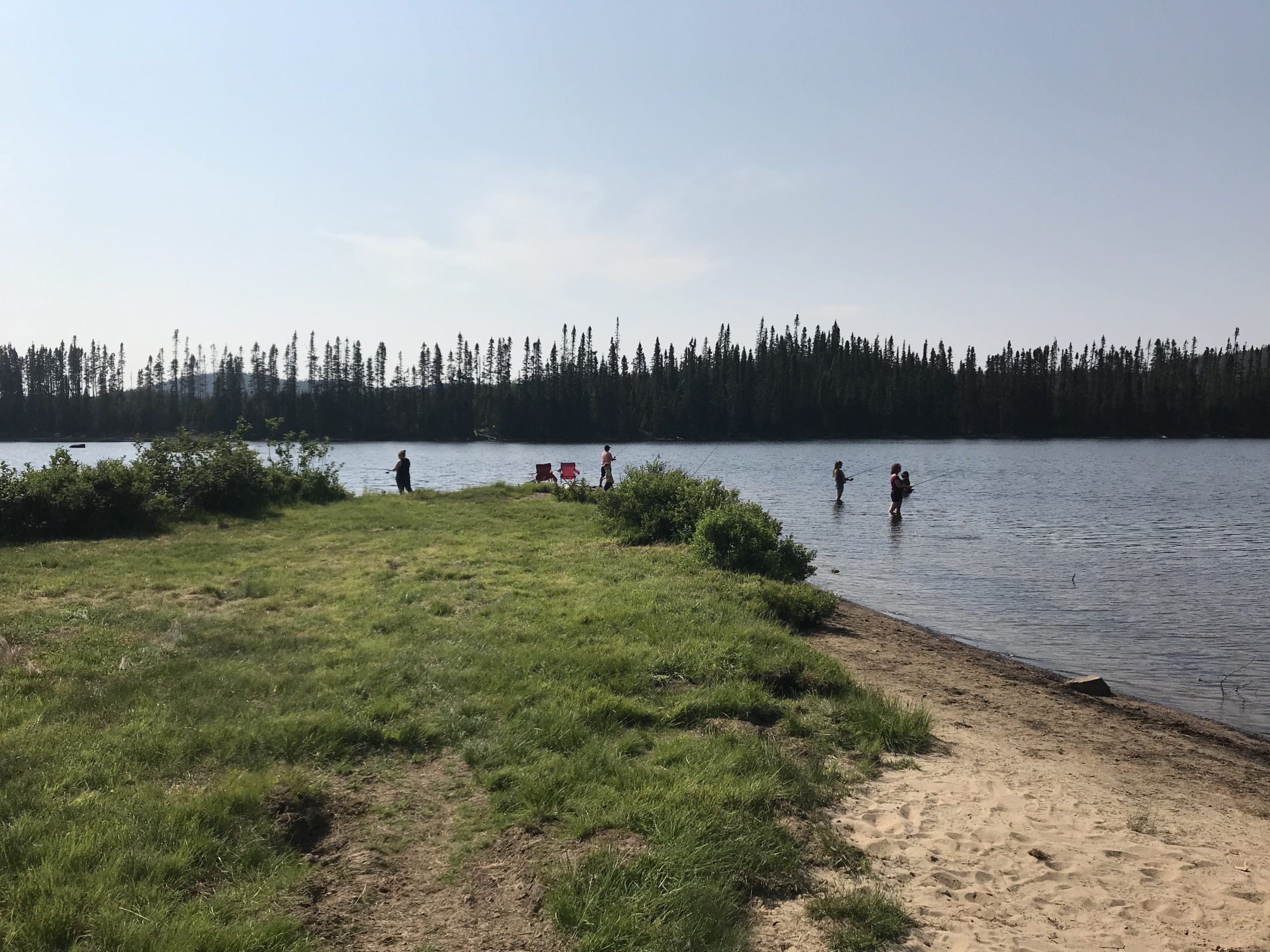 Beach nature landscape