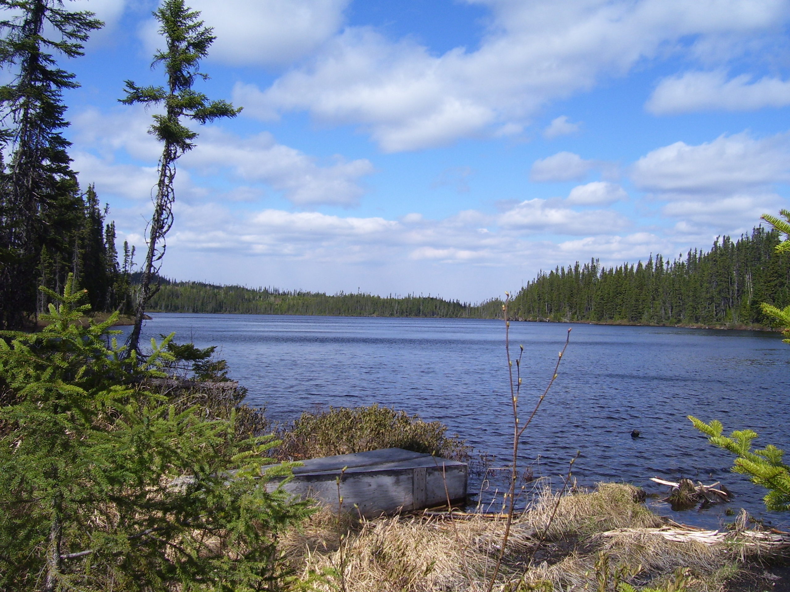 Lake nature landscape